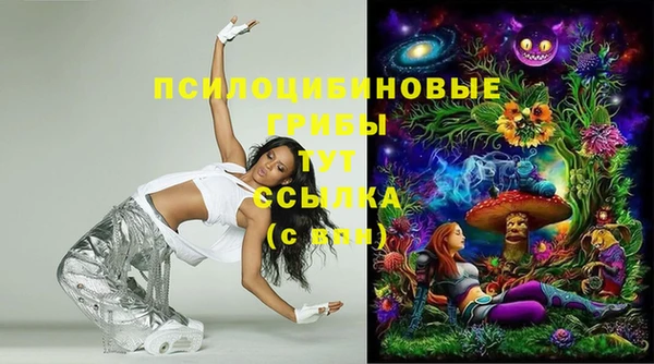 СК Покачи