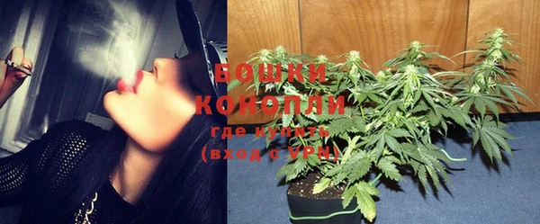тгк Богородицк