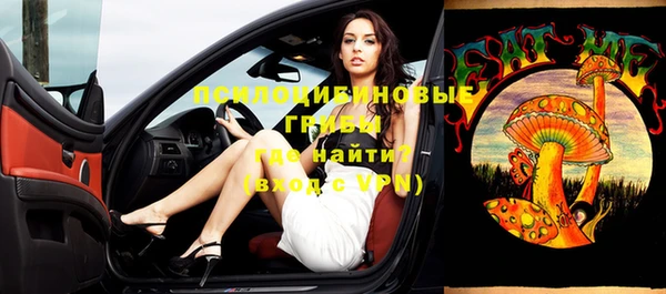 тгк Богородицк
