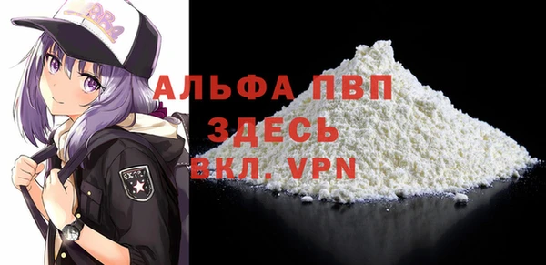 СК Покачи
