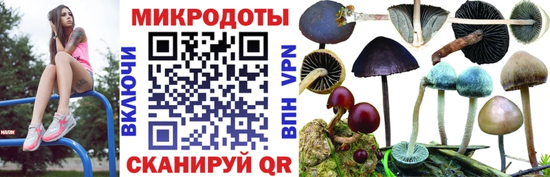 Псилоцибиновые грибы MAGIC MUSHROOMS  Купить  Стародуб 